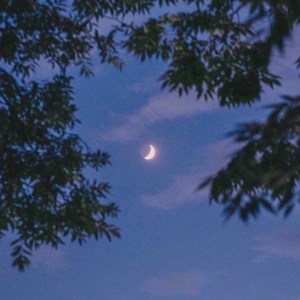 巨乳美女的裸体被操
