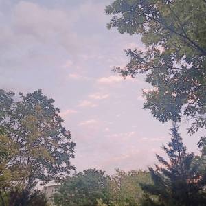 巨乳美女的裸体被操
